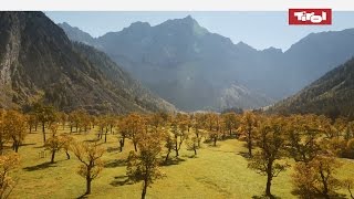 Herbst in Österreich  Die schönsten Herbstlandschaften in Tirol [upl. by Repooc]