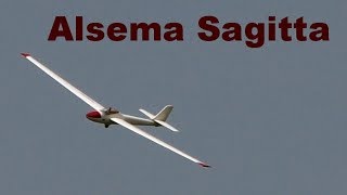 Alsema Sagitta 4m scale RC glider Reichard Modelsport 2018 [upl. by Illoh]