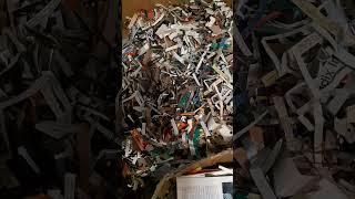 ♻️ Transform Shredded Paper into Worm Farm Gold amp Firelogs 🌱🔥”recycle recyclewaste wormfarming [upl. by Sanez]