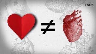 Valentines Day Why the heart icon looks nothing like a human heart ❤️ [upl. by Ecnarf902]