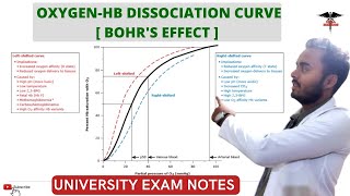 OxygenHemoglobin Dissociation Curve  Bohrs Effect  Respiratory system physiology [upl. by Eiser]