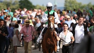 BadenBaden Ittlingen Derby Trial Gruppe 3  Sieger Wai Key Star [upl. by Boyden]