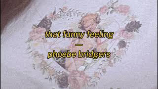 that funny feeling  phoebe bridgers cover [upl. by Marshal296]