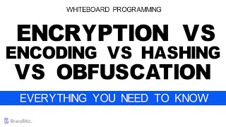 Difference Between Encryption vs Encoding vs Hashing vs Obfuscation Explained [upl. by Dlareme]