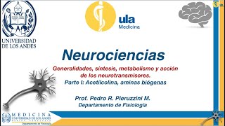 Generalidades síntesis metabolismo y acción de los neurotransmisores Parte I [upl. by Ahsienahs]