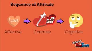 TriComponent Model of Attitudes [upl. by Ahsahtan]