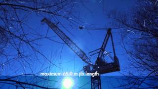 Liebherr  710 HCL Luffing Jib Crane [upl. by Rolf]