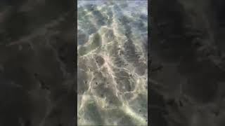 Spiaggia di Marzamemi al mattino sicilia Maresiciliano pt4 [upl. by Rickart]