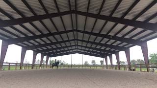 Covered Dressage Arena Boarding amp Training in Wellington Florida [upl. by Denna312]