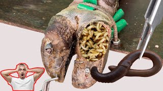 Cut Trim and Cleaning  Screw with Nails WAS STUCK IN cows hoof TK003 [upl. by Ahsiniuq]