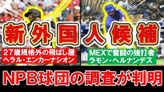 【来日候補として大注目！？】来季新外国人候補として今季ＭＬＢでＯＰＳ７０４・２７歳規格外の飛ばし屋『ヘラル・エンカーナシオン』＆メキシコで活躍の強打者『ラモン・ヘルナンデス』をＮＰＢ球団が調査判明！ [upl. by Soulier]