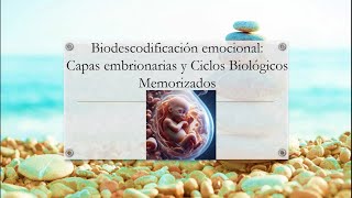 Clase de Biodescodificación 6 Capas embrionarias y Ciclos Biológicos Memorizados [upl. by Ceciley]