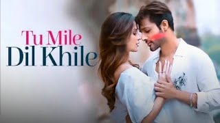 Tu Mile Dil Khile  Tu Mile Dil Khile Aur jine ko ky chaiye  KM AUDIO [upl. by Yarb]