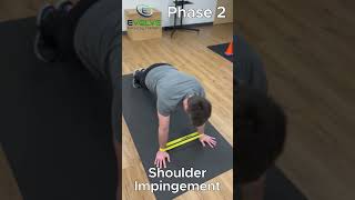 One Essential Exercise for Serratus Anterior  Plank to Pike with Bands for Shoulder Impingement [upl. by Adnilasor440]