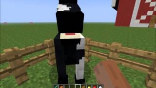 Minecraft Comment adopter un cheval   162 [upl. by Aysahc]