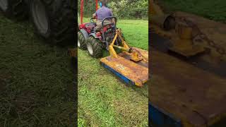 Goldoni Quad tractor making short work of an unkept small orchard Infested with mole hills 🗻 [upl. by Guenzi]