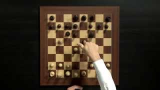 Magnus Carlsen Chess Training on Play Magnus App How to Play the Opening [upl. by Garrick639]