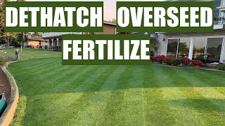 DETHATCH OVERSEED and FERTILIZE for the BEST LAWN [upl. by Arrahs175]