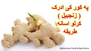 Ginger Grow Method  په کور کی د ادرک  زنجبیل  کرلو اسانه طریقه [upl. by Thurnau]