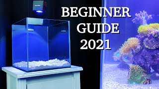 No money no problem  REEF TANK BASICS  quothow to start a saltwater aquariumquot BEGINNER GUIDE 2021 [upl. by Adallard]