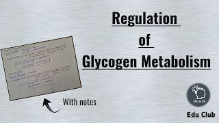 Regulation of Glycogen Metabolism  Glycogen metabolism  Carbohydrate metabolism  Biochemistry [upl. by Arihsat]