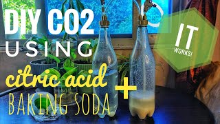 DIY CO2 USING BAKING SODA AND CITRIC ACID [upl. by Av]