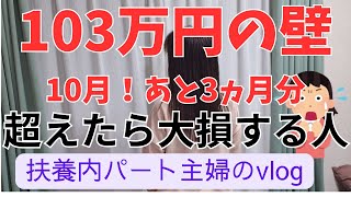 【パート主婦】103万円の壁😱超えないための調整 一度私は超えました😭損しないために見てほしい10月社会保険拡大で注意 雇用保険も103万円106万130万雇用保険 社会保険 扶養手当 [upl. by Cathrin]