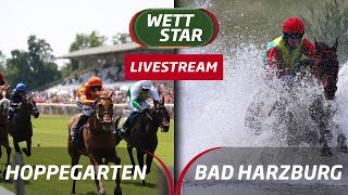 Livestream BerlinHoppegarten Bad Harzburg 2307 [upl. by Griffith]