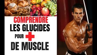 Comprendre LES GLUCIDES Pour PLUS DE MUSCLE [upl. by Nylyrehc]