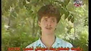 Afghani Song  Delam Dewana Bood [upl. by Noby]