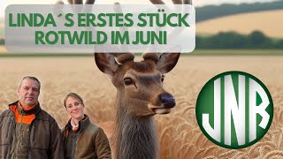 Waidmannsheil zu Linda´s ersten Rotschmalspießer [upl. by Cristen]