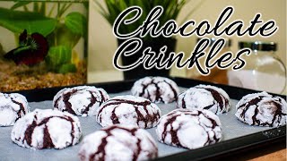 Very Easy and Delicious Chocolate Crinkles  Crinkles Recipe [upl. by Elitnahc]