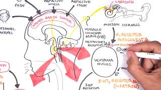 Pharmacology  Antiemetics [upl. by Lynnet]