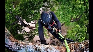 Gopro Tree Climbing Swing and Limb walk [upl. by Feltie]