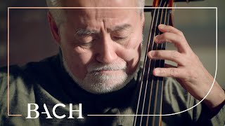 Bach  Cello Suite no 5 in C minor BWV 1011  Suzuki  Netherlands Bach Society [upl. by Aerdnwahs]