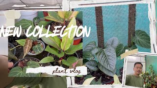 Naya collection ani Siliguri flower show bare kehi jankari ajvlog4128 [upl. by Eiznekcm]