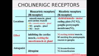 ANS PHARMACOLOGY الجهاز العصبي المركزي SYMPATHETIC AND PARASYMPATHETIC [upl. by Amati920]