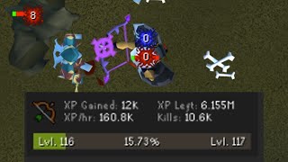 The Best AFK Range Training Method In OSRS [upl. by Latimer677]