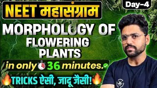 NEET महासंग्राम🔥 MORPHOLOGY OF FLOWERING PLANTS  Neet 2024 [upl. by Iilek77]