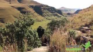 Drakensbergen in ZuidAfrika  NatureScannernl [upl. by Lissy458]