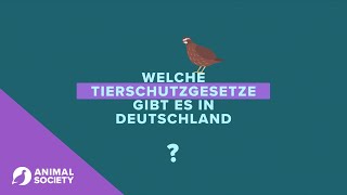 Welche Tierschutzgesetze gibt es in Deutschland [upl. by Siekram]