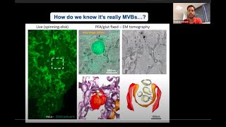 Liveimaging approaches to explore exosome biology in vitro and in vivo by Frederik Verweij [upl. by Htebasile]