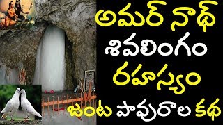 amarnath cave mystery  amarnath temple secret  amarnath real pigeon story amarnath yatra 2019 [upl. by Ahselef907]