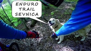 Domen Malus  Enduro trail Sevnica Slovenia [upl. by Ruhtua]