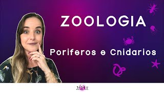 PORÍFEROS E CNIDÁRIOS  ZOOLOGIA l Prof Louise Medeiros [upl. by Kinson]