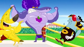 Oggy et les Cafards  Zig amp Sharko 💪 Le combat 💪 Épisodes complets en HD [upl. by Llehcor]