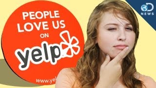 Does Yelp Really Impact Businesses [upl. by Zorine258]