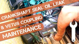 Crankshaft Seal Oil Leak Vetus Coupling Bushings Replace amp Gearbox Oil Cooler Fix on Volvo Penta [upl. by Mauro]