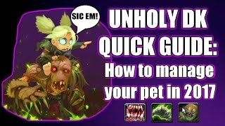 UNHOLY DEATH KNIGHT PVE  PVP GUIDE  PET MANAGEMENT AND MACROS [upl. by Garrik]