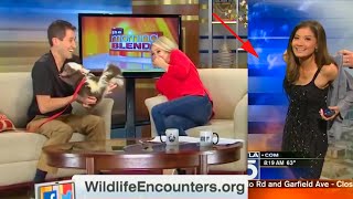 Funniest TV News Bloopers of 2021 [upl. by Ainevuol]